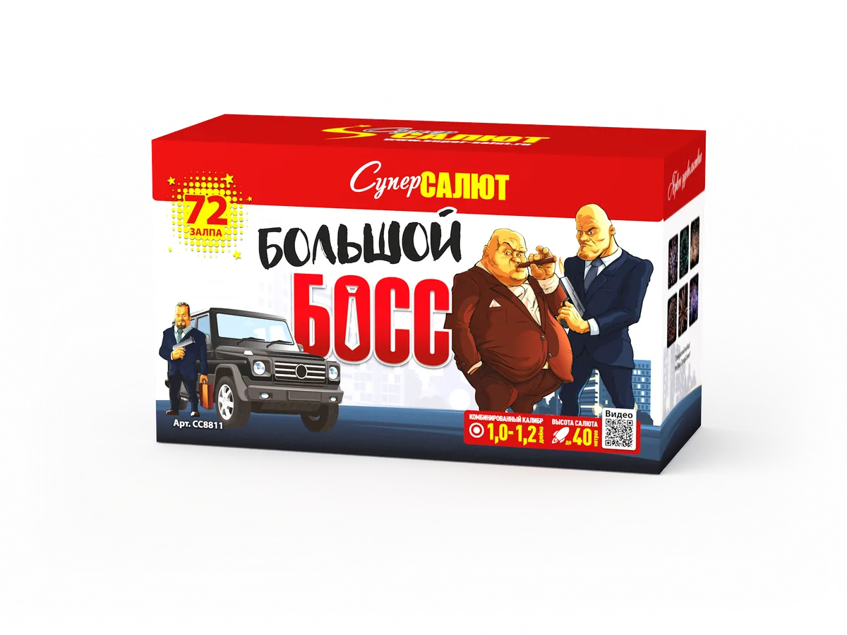 Обложка: СС8811